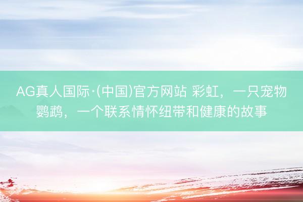 AG真人国际·(中国)官方网站 彩虹，一只宠物鹦鹉，一个联系情怀纽带和健康的故事