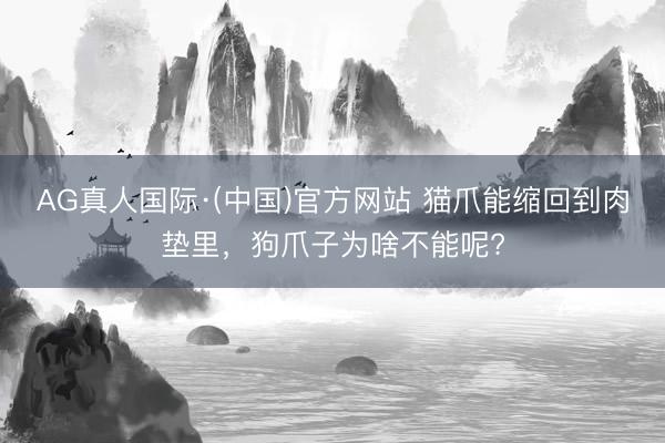 AG真人国际·(中国)官方网站 猫爪能缩回到肉垫里，狗爪子为啥不能呢?