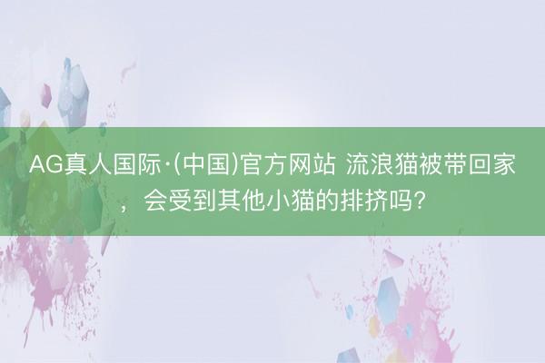 AG真人国际·(中国)官方网站 流浪猫被带回家，会受到其他小猫的排挤吗?