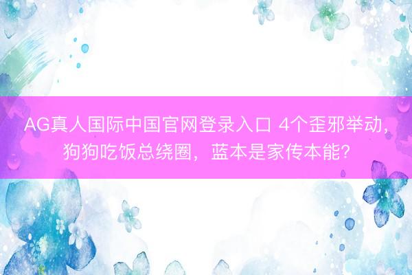 AG真人国际中国官网登录入口 4个歪邪举动，狗狗吃饭总绕圈，蓝本是家传本能?