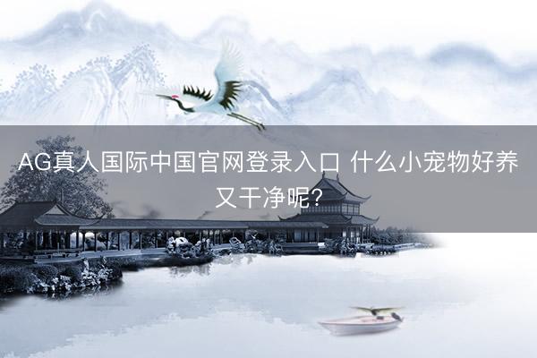 AG真人国际中国官网登录入口 什么小宠物好养又干净呢?
