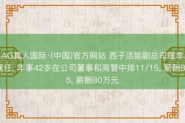 AG真人国际·(中国)官方网站 西子洁能副总司理李景福离任， 年事42岁在公司董事和高管中排11/15， 薪酬80万元