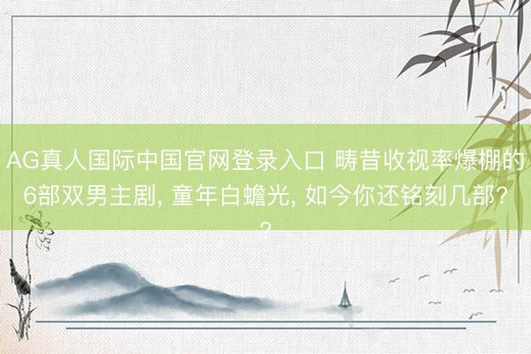 AG真人国际中国官网登录入口 畴昔收视率爆棚的6部双男主剧， 童年白蟾光， 如今你还铭刻几部?