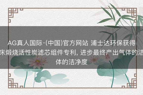 AG真人国际·(中国)官方网站 浦士达环保获得欢畅床煅烧活性炭滤芯组件专利， 进步最终产出气体的洁净度