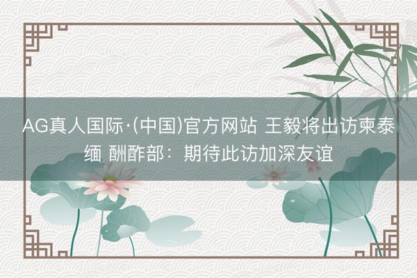 AG真人国际·(中国)官方网站 王毅将出访柬泰缅 酬酢部：期待此访加深友谊