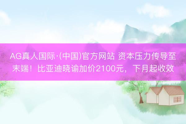 AG真人国际·(中国)官方网站 资本压力传导至末端！比亚迪晓谕加价2100元，下月起收效